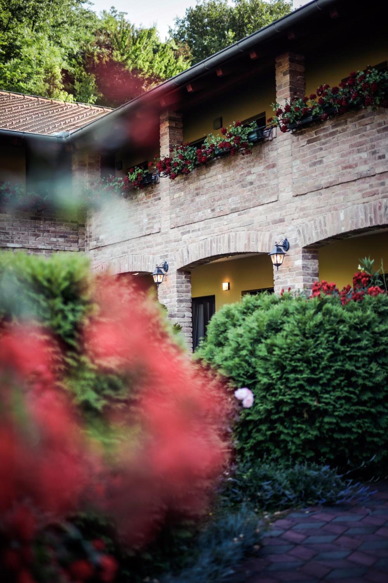 Rooms Villa Iva Ilok Exterior photo